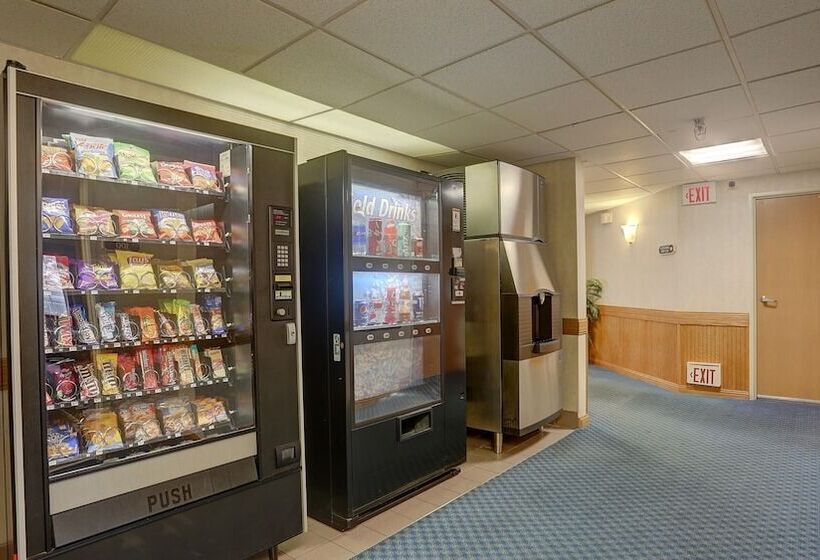 酒店 Woodland Country Lodge