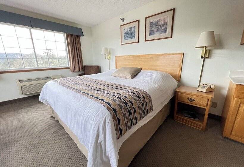 酒店 Woodland Country Lodge