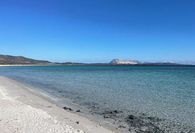 ホテル Al Faro Spiaggia La Cinta Santeodoro