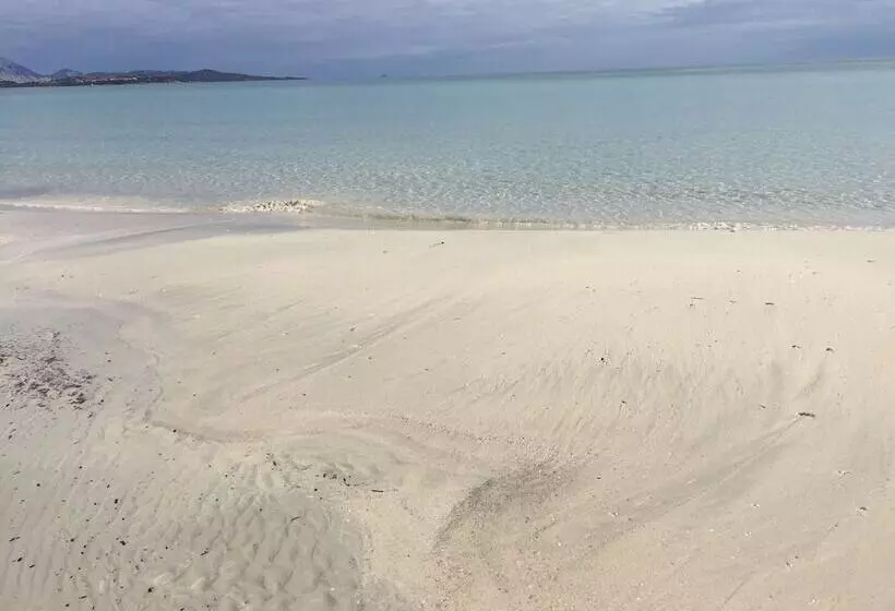 ホテル Al Faro Spiaggia La Cinta Santeodoro
