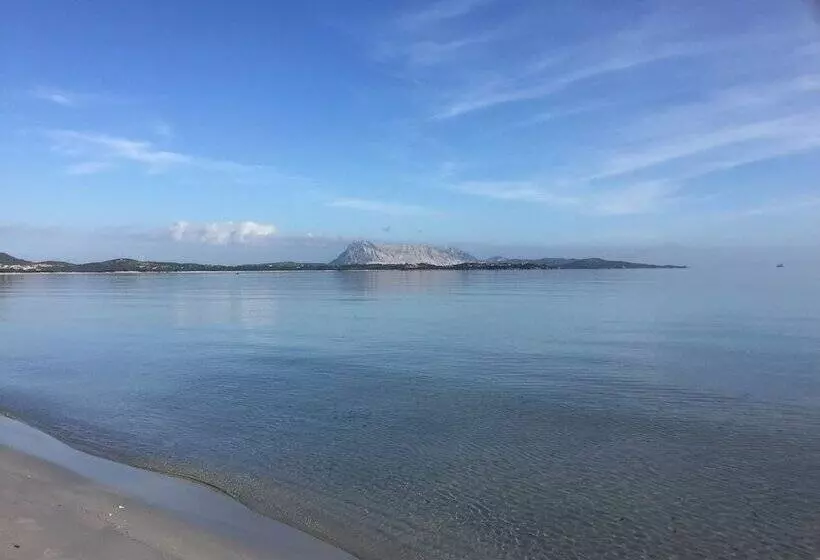 ホテル Al Faro Spiaggia La Cinta Santeodoro
