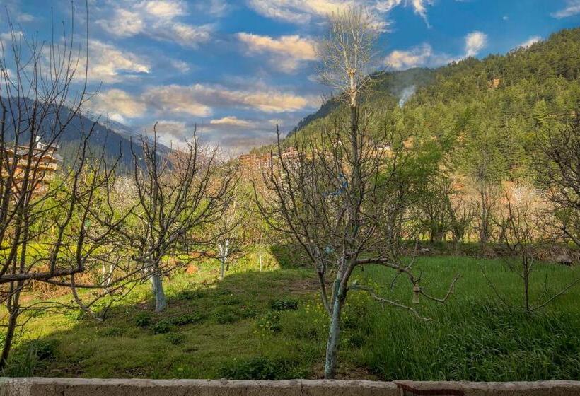 فندق Dev Rising Love Heart