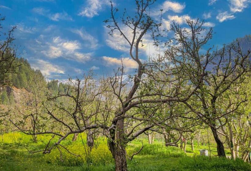 فندق Dev Rising Love Heart