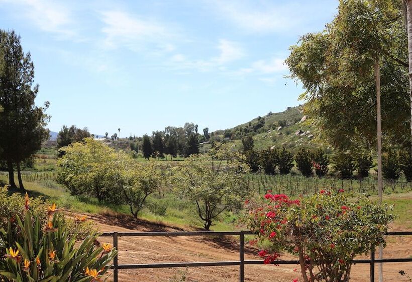 فندق Casa Luna Viñedo