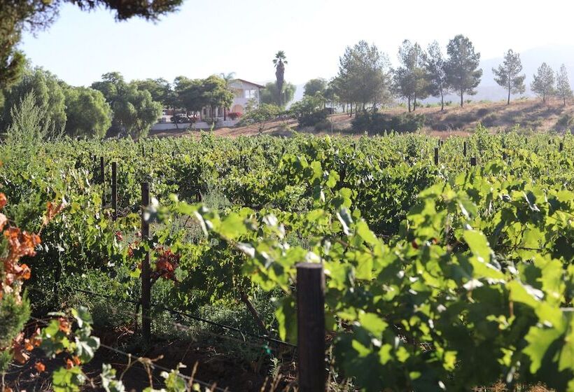 فندق Casa Luna Viñedo