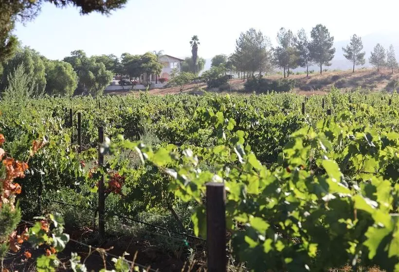 Hotelli Casa Luna Viñedo