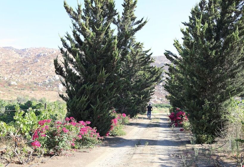 فندق Casa Luna Viñedo