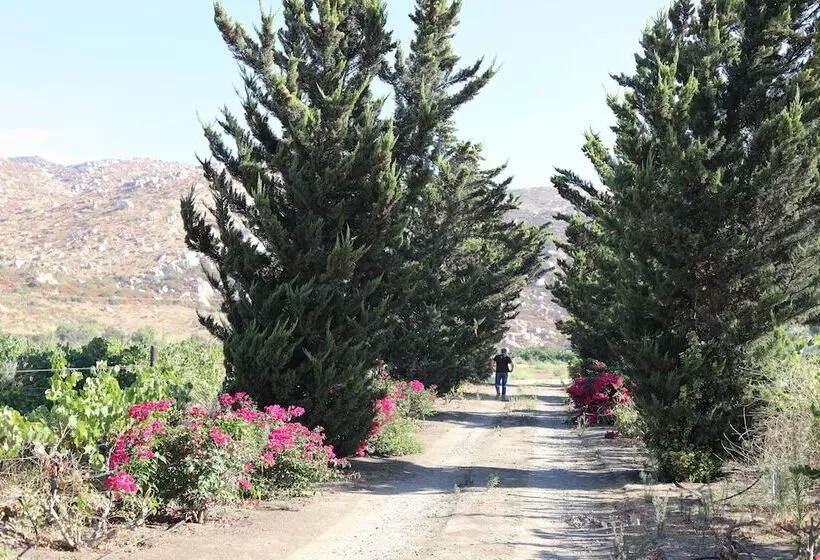 Hotelli Casa Luna Viñedo