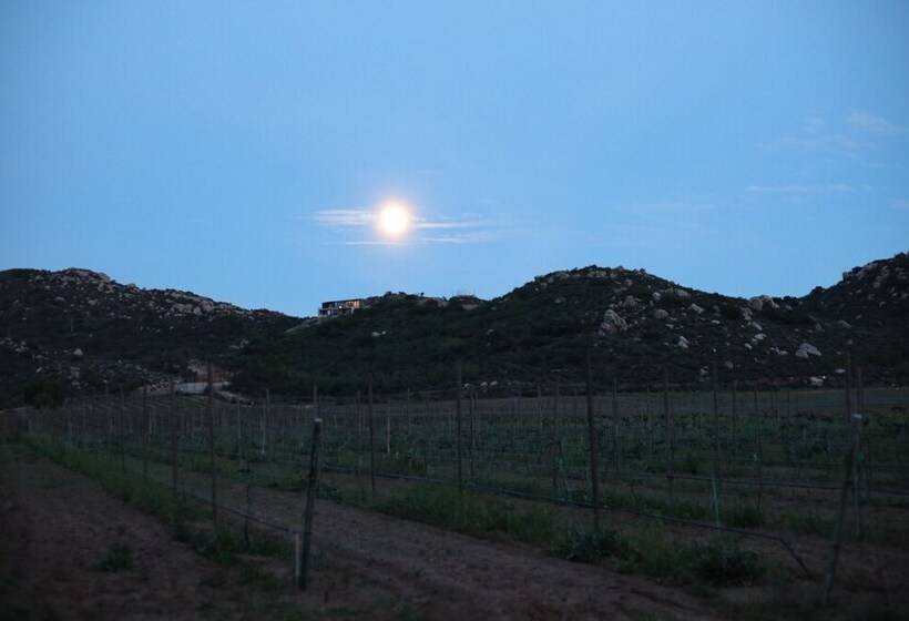 فندق Casa Luna Viñedo