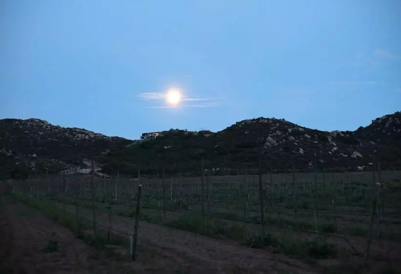 Hotelli Casa Luna Viñedo