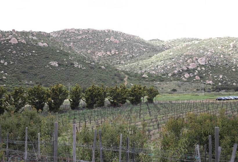 هتل Casa Luna Viñedo