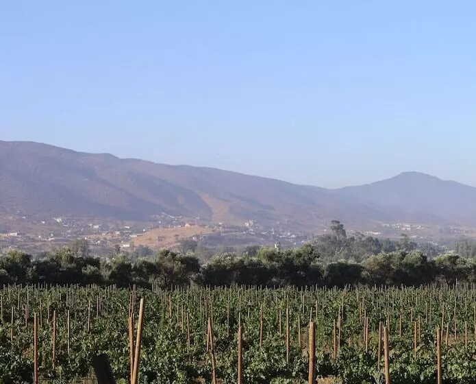 Hotelli Casa Luna Viñedo