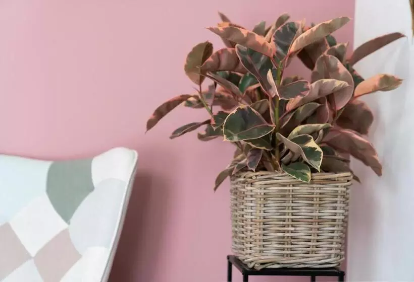 Majatalo Residence Casadì