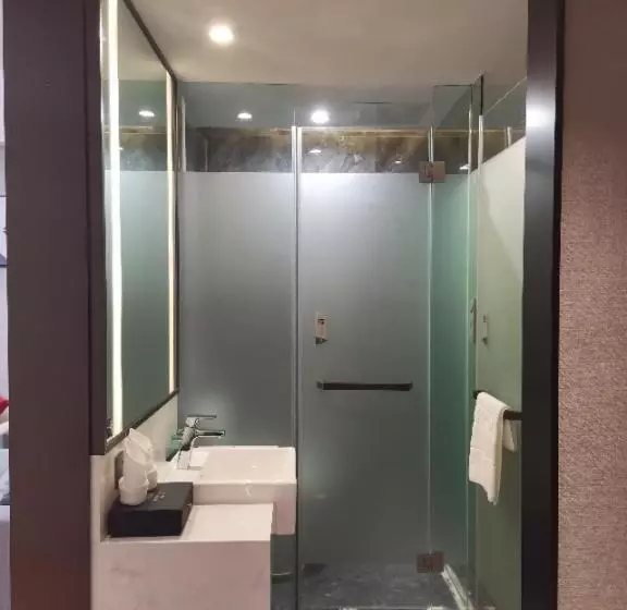 Borrman Hotel Liuzhou Liujing District Government