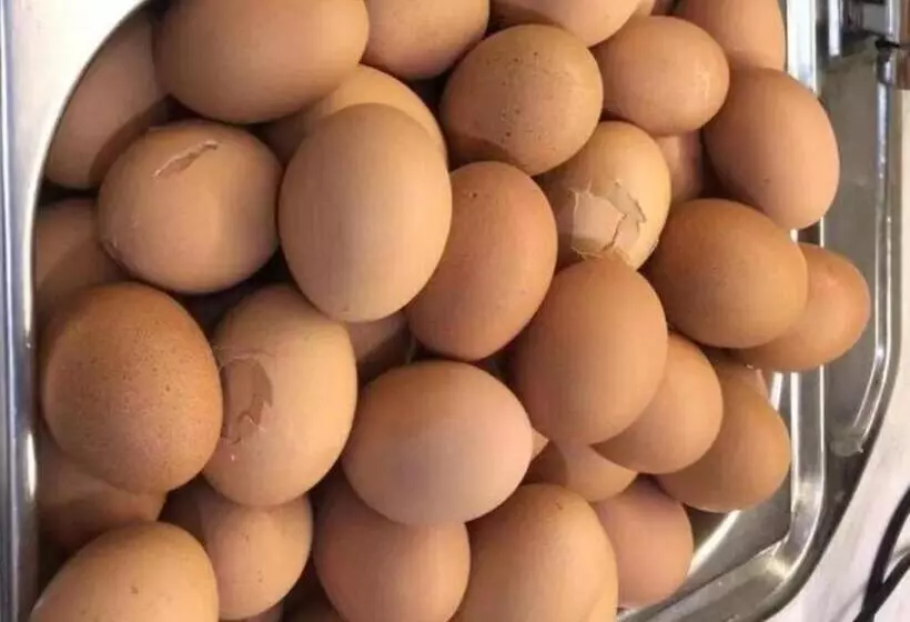 ホテル Greentree Inn Express Dongying Municipal Governemnt Wanda Plaza