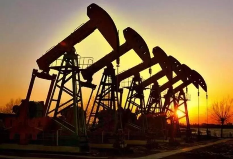 ホテル Greentree Inn Express Dongying Municipal Governemnt Wanda Plaza