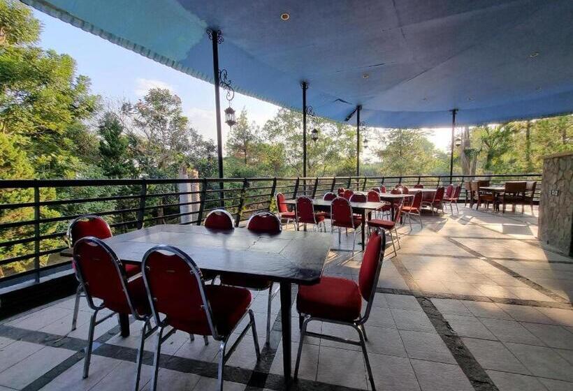 בית מלון כפרי High Livin Apartment Dago