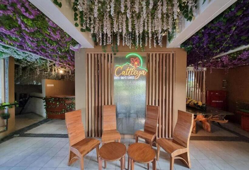 בית מלון כפרי High Livin Apartment Dago