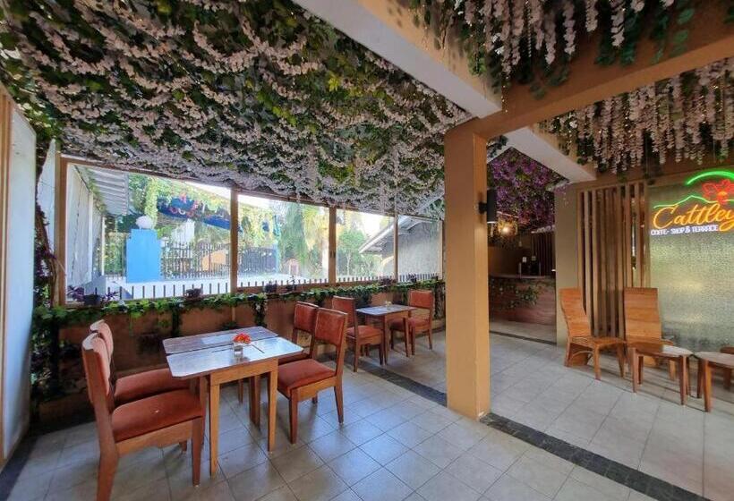 בית מלון כפרי High Livin Apartment Dago