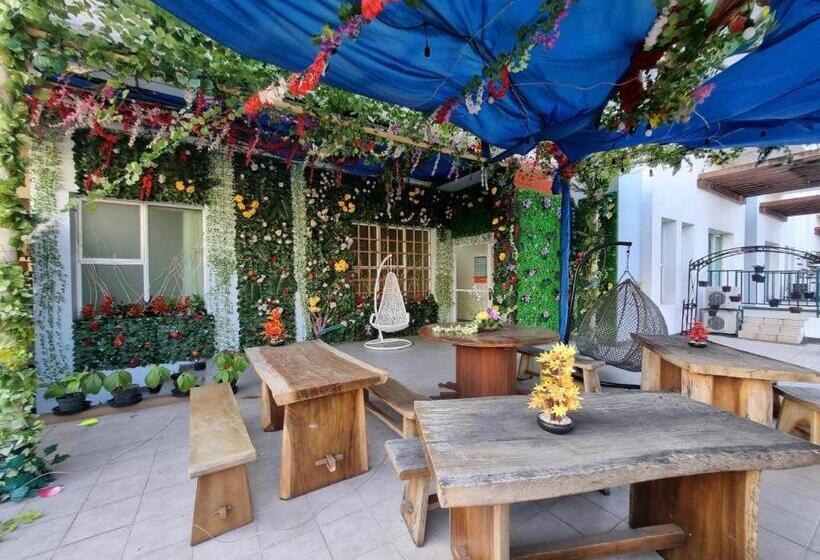 בית מלון כפרי High Livin Apartment Dago