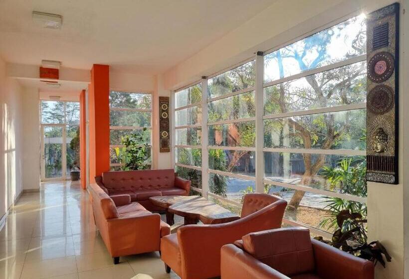 בית מלון כפרי High Livin Apartment Dago