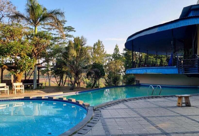 בית מלון כפרי High Livin Apartment Dago