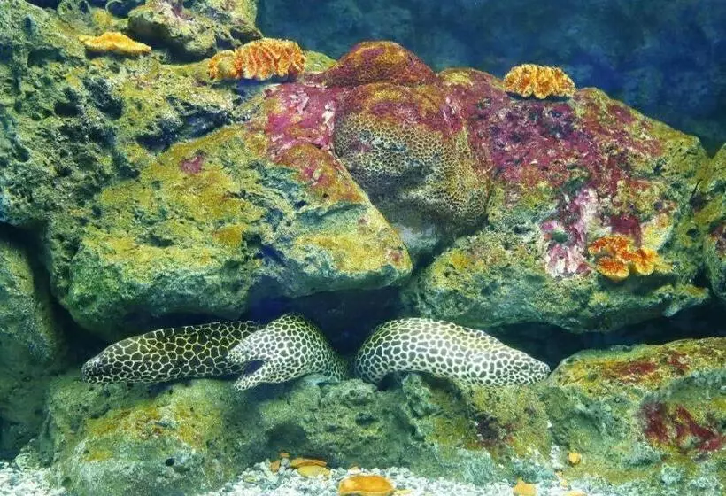 ホテル Vandaresort