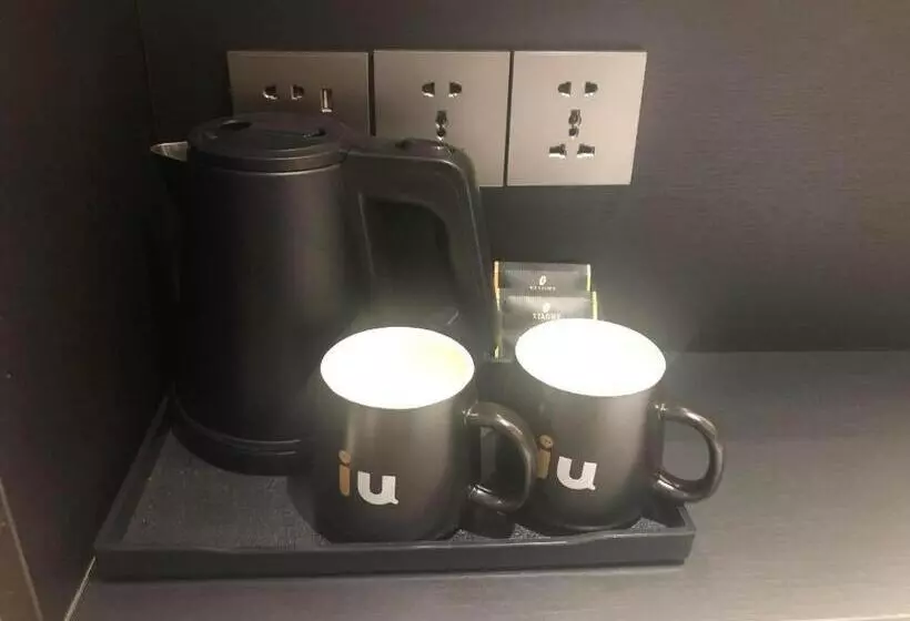 Iu Hotel Lanzhou New District Airport Ruiling International