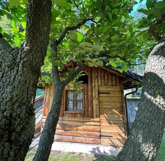 ベッドアンドブレックファースト Holidays