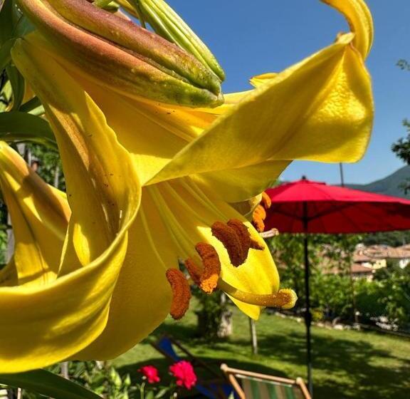 ベッドアンドブレックファースト Holidays