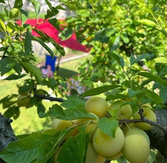 ベッドアンドブレックファースト Holidays