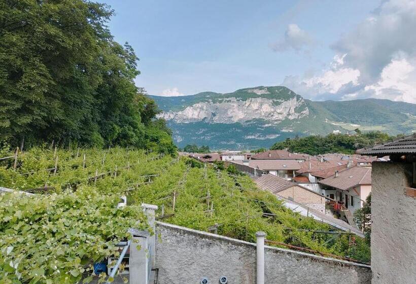 ベッドアンドブレックファースト Holidays