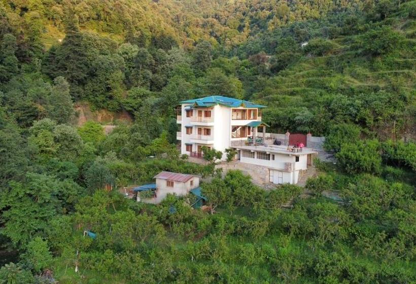 Hotel Beyond Wifi Peach Farmstay