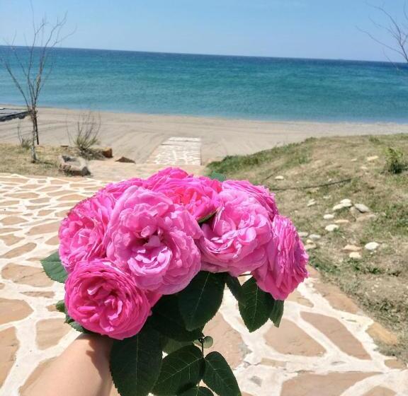 فندق Mavi̇ Su Turi̇zm Tarim Hayvancilik İnş.san. Ve Ti̇c.ltd.şti̇