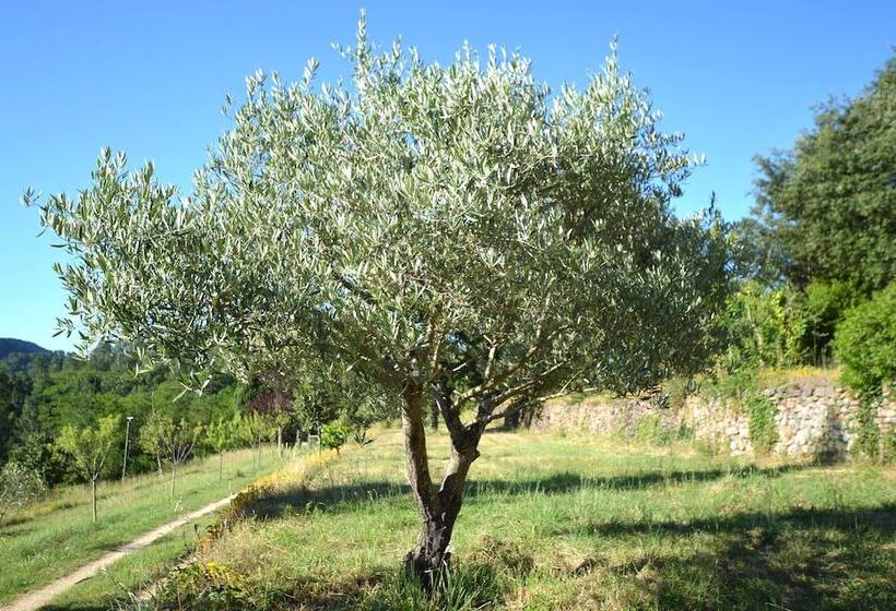 膳宿费 Mas Des Druilles