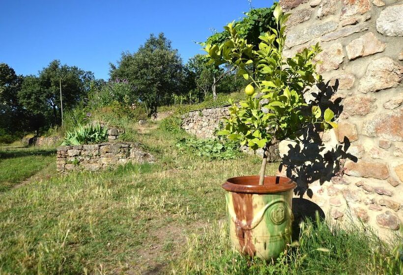 膳宿费 Mas Des Druilles