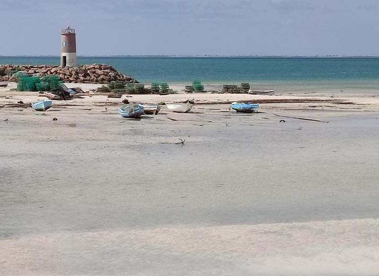پانسیون Villa Paco Djerba 2 Suites Avec Piscine à Débordement