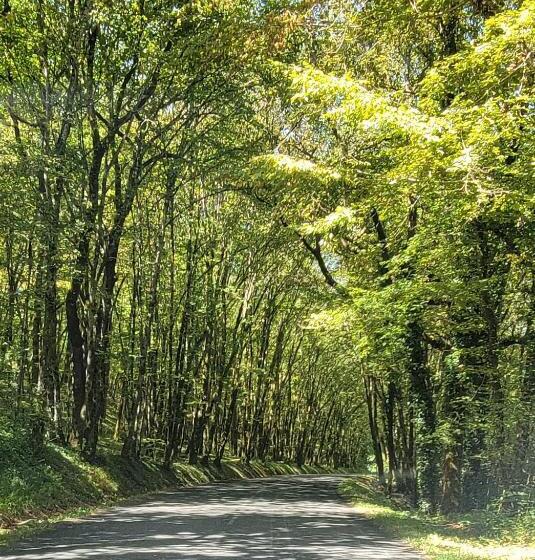 Курорт Raisin Et Toile French American Retreat