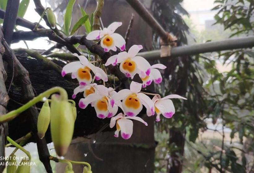 هتل Khách Sạn Hoàng Long