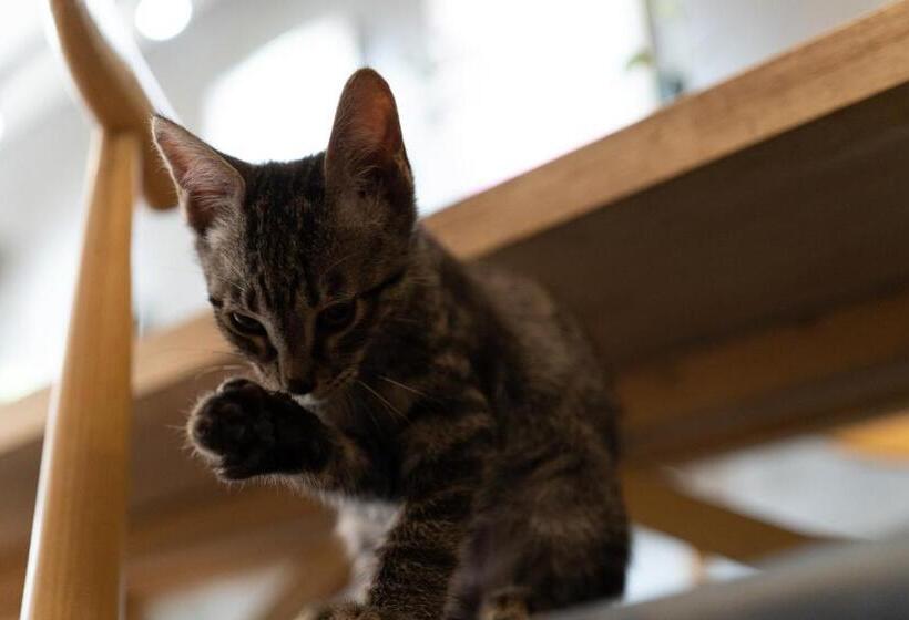 הוסטל Xi An Travelling With Hotel South Gate