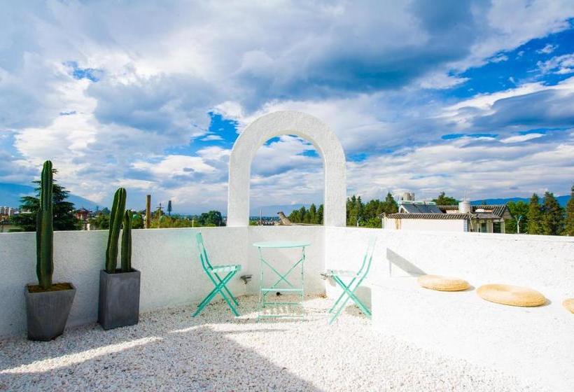 호스텔 The Jade Emu International Guesthouse