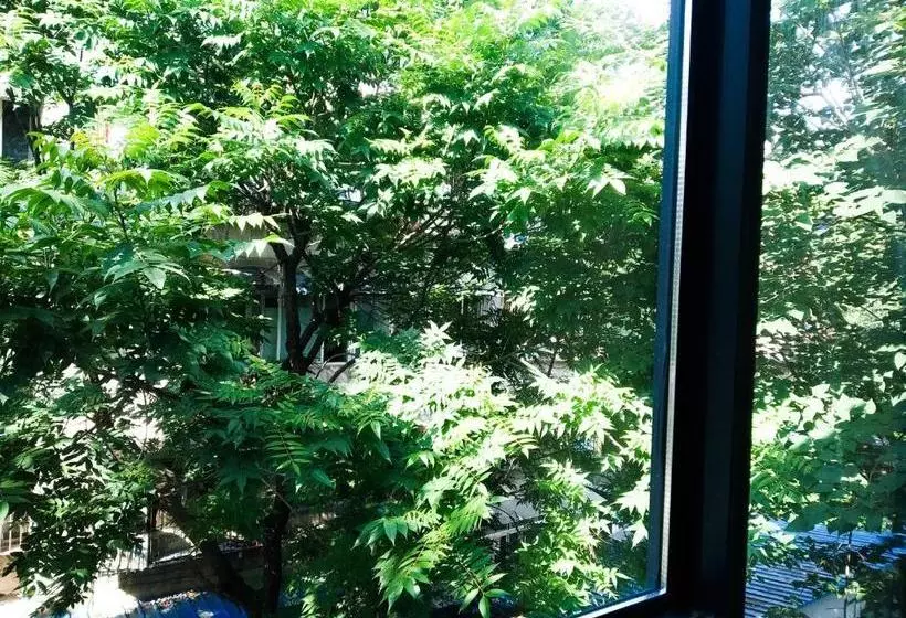 Chengdu Southern Hotel  Hostel
