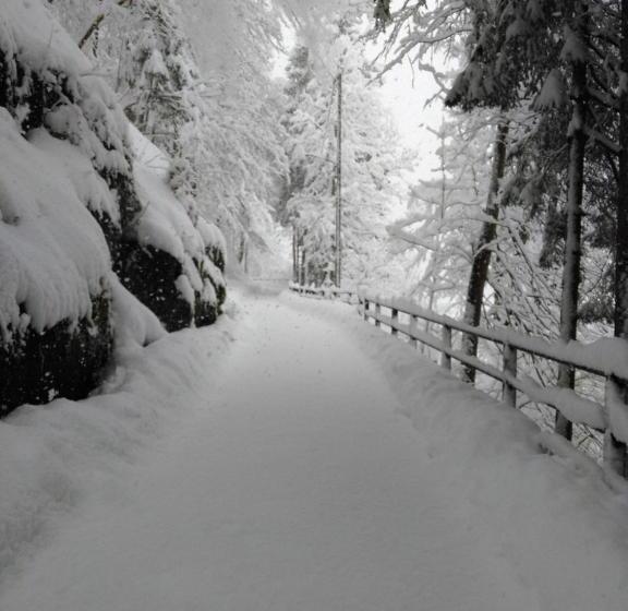 فندق Albergo Dei Pescatori