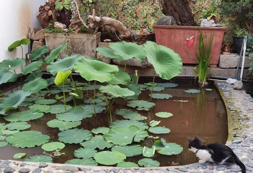 בית מלון כפרי The Lily Pad Inn