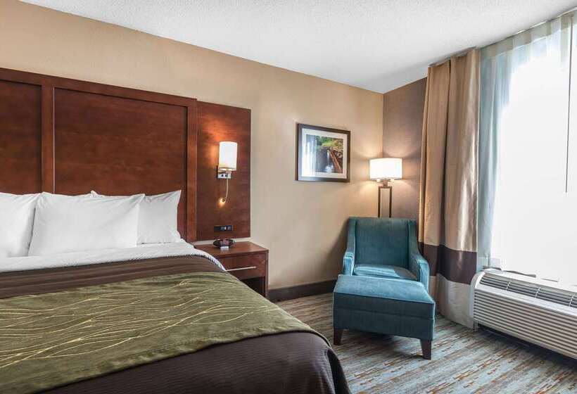 호텔 Comfort Inn Bay City  Riverfront