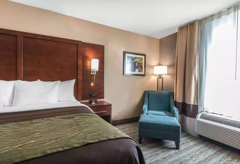 ホテル Comfort Inn Bay City  Riverfront
