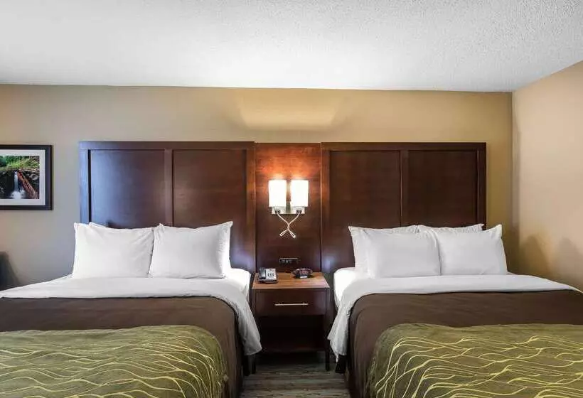 ホテル Comfort Inn Bay City  Riverfront