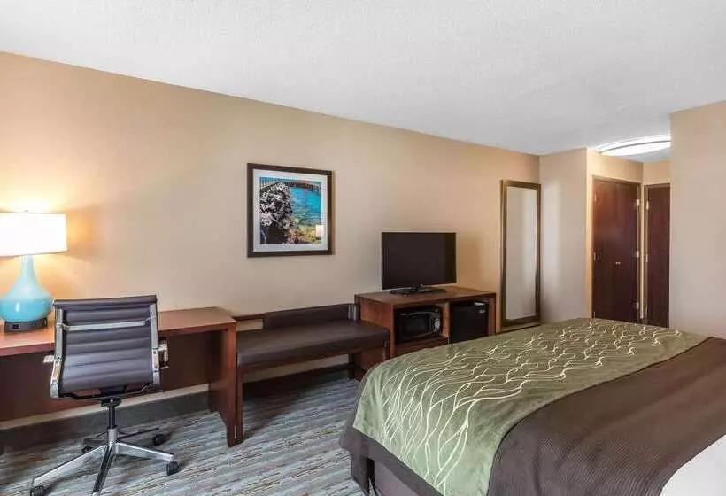 ホテル Comfort Inn Bay City  Riverfront