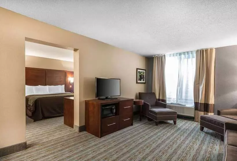ホテル Comfort Inn Bay City  Riverfront