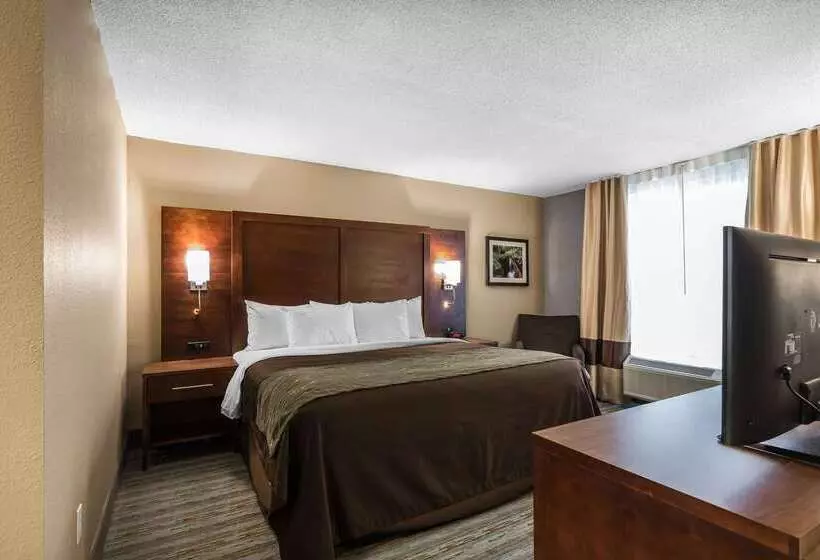 ホテル Comfort Inn Bay City  Riverfront